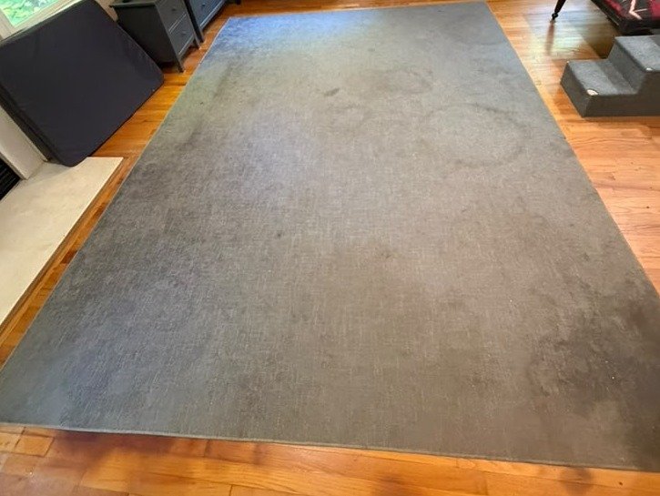 Gray area rug with visible watermark rings and soiling in a Worcester living room before DJA Surface Care cleaned it