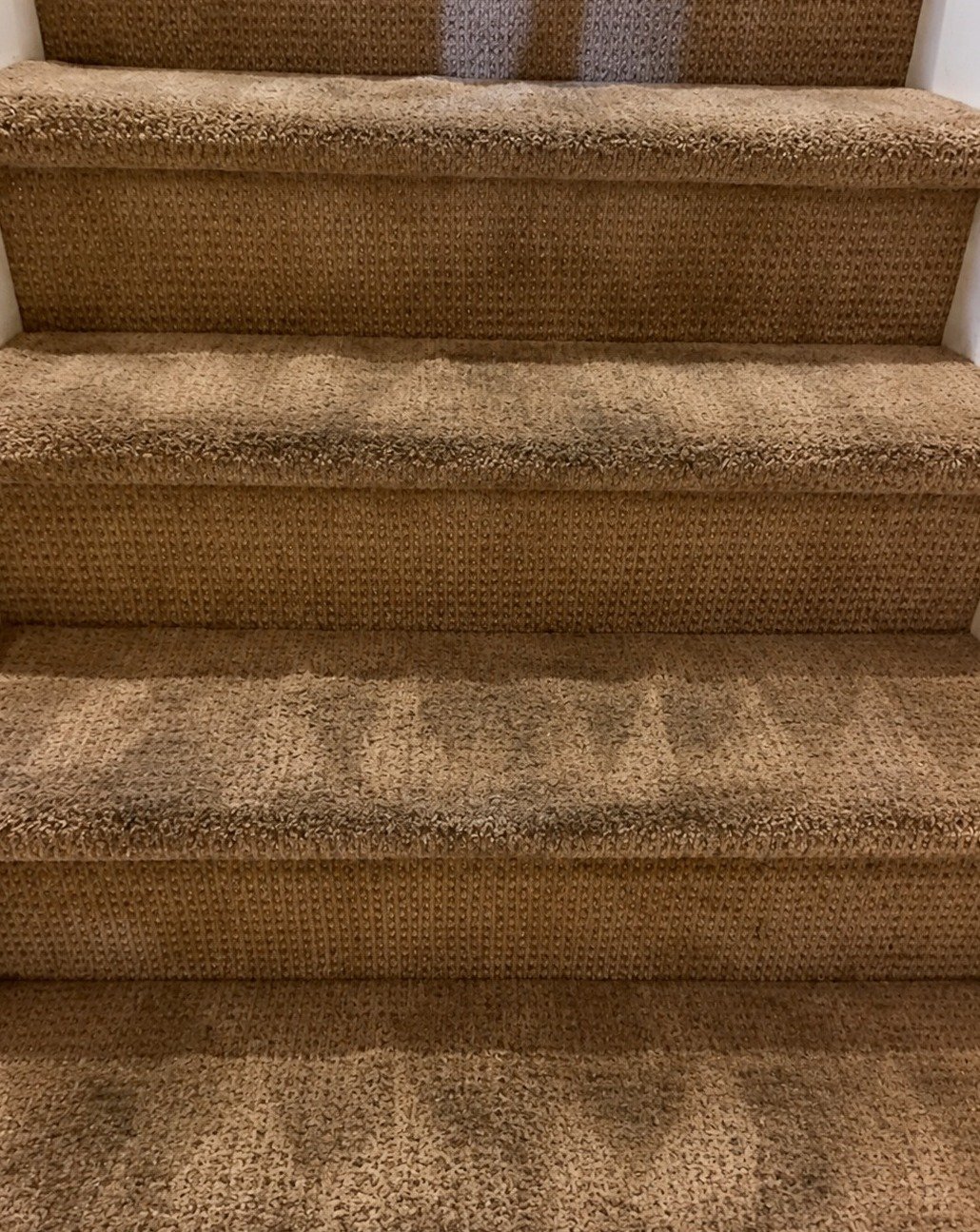 Tan staircase runner with visible dark traffic stains on each step before cleaning